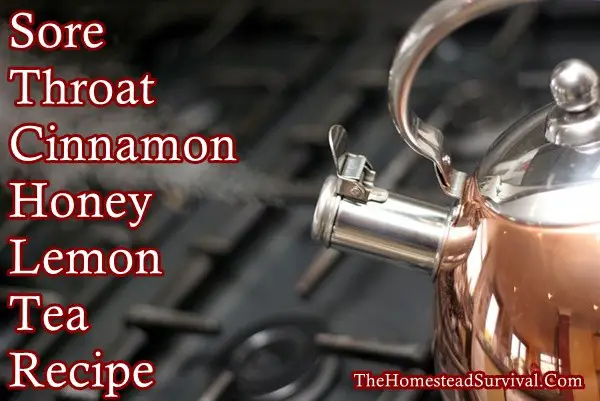Sore Throat Cinnamon Honey Lemon Tea Recipe