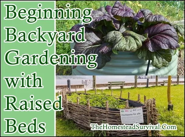 Beginning Backyard Gardening with Raised Beds