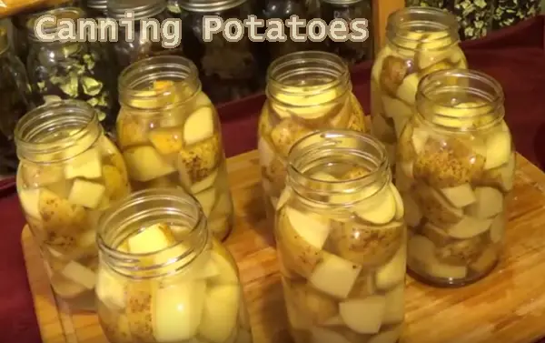 Canning Potatoes - The Homestead Survival - Food Storage