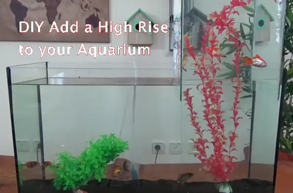DIY Add a High Rise to your Aquarium