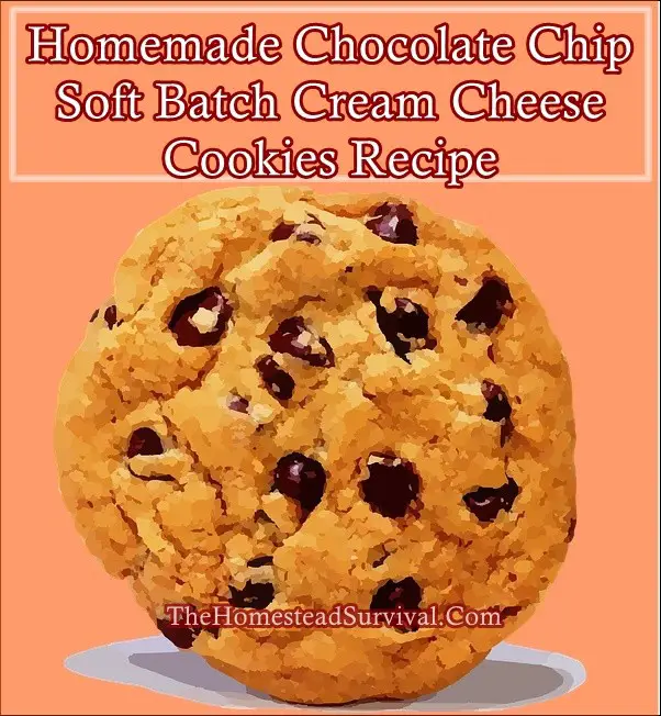 Homemade Chocolate Chip Soft Batch Cream Cheese Cookies Recipe - The Homestead Survival - Delicious