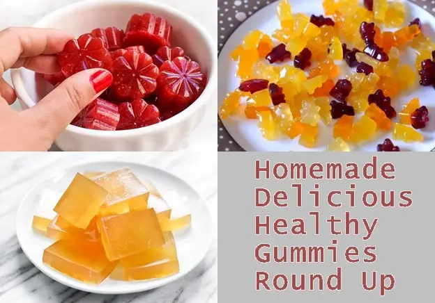 Homemade Delicious Healthy Gummies Round Up