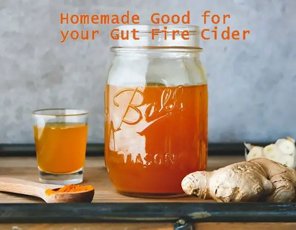 Homemade Good for your Gut Fire Cider