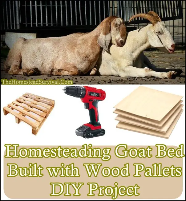 Homesteading Goat Bed Built with Wood Pallets DIY Project - The Homestead Survival - Frugal Homesteading 