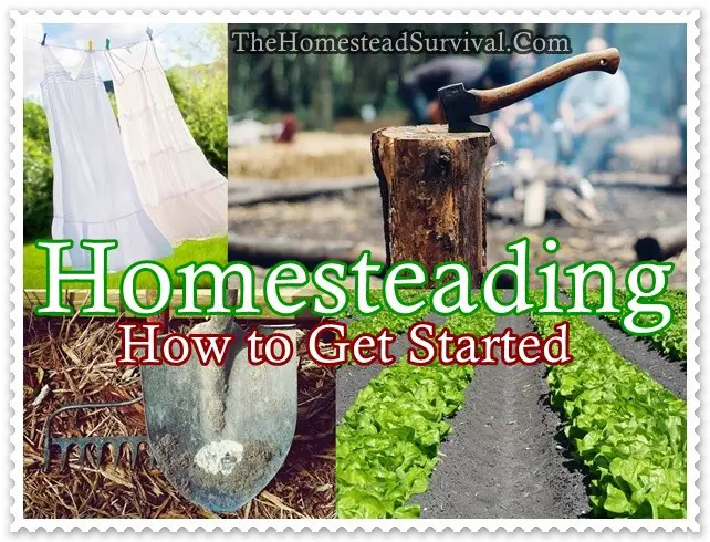 Homesteading How to Get Started - The Homestead Survival - Gardening 