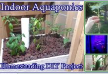 Indoor Aquaponics Gardening Homesteading DIY Project - The Homestead Survival