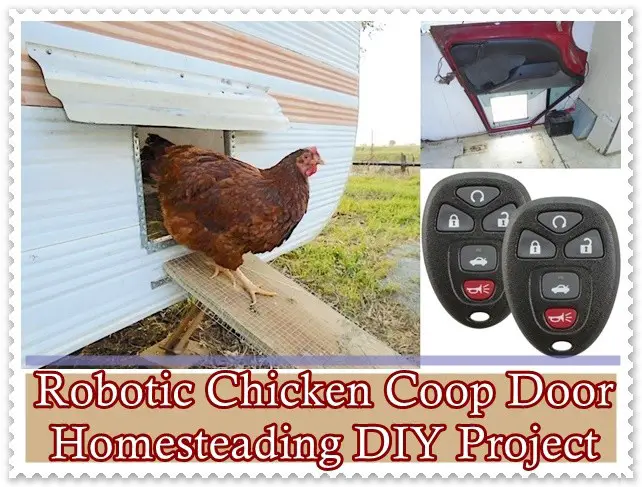 Robotic Chicken Coop Door Homesteading DIY Project - The Homestead Survival - Chickens