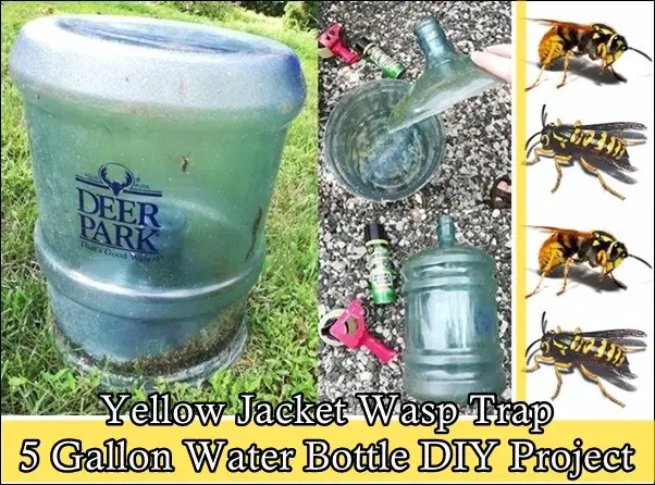 Yellow Jacket Wasp Trap 5 Gallon Water Bottle DIY Project - The Homestead Survival - Homesteading - Pest Control - Insects - Sting