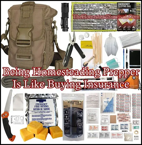 Being Homesteading Prepper Is Like Buying Insurance - The Homestead Survival - Frugal Homesteading