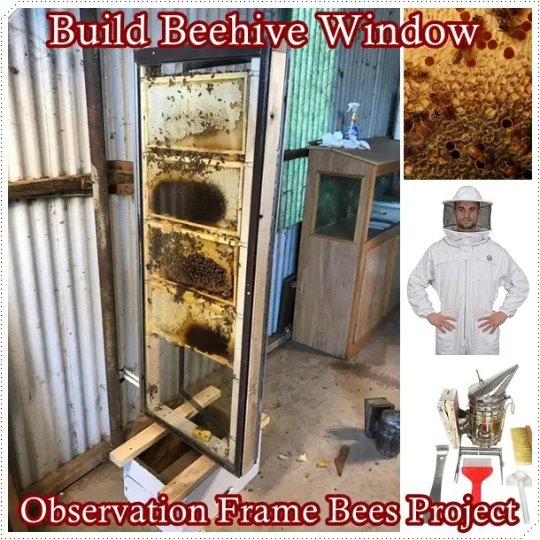 Build Beehive Window Observation Frame Bees Project - The Homestead Survival - Beekeeping - Bees - Beehive - Honey