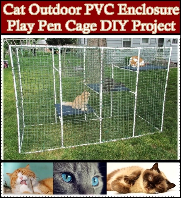 Cat Outdoor PVC Enclosure Play Pen Cage DIY Project