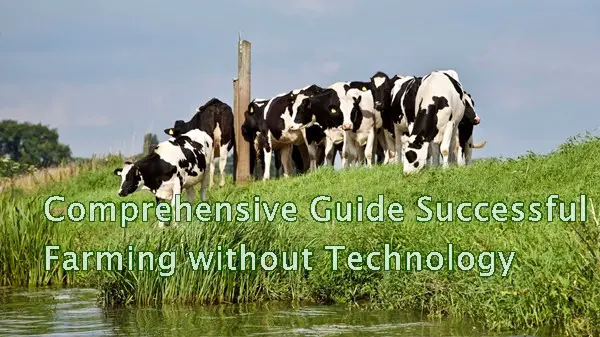 Comprehensive Guide Successful Farming without Technology