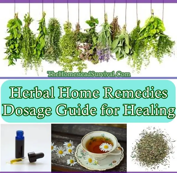 Herbal Home Remedies Dosage Guide for Healing