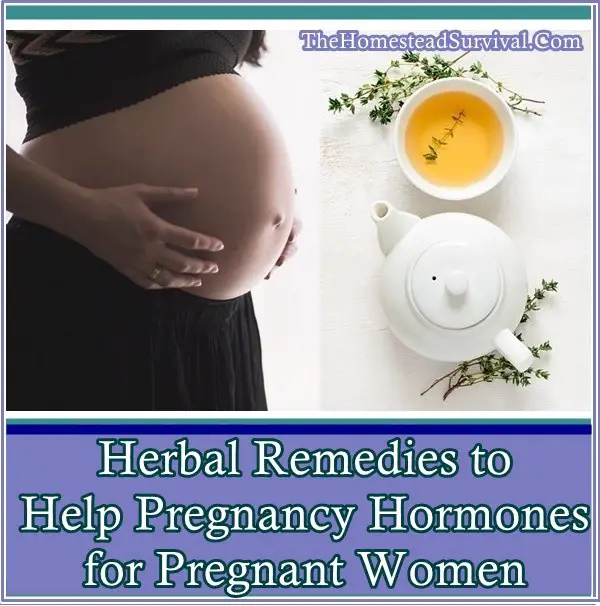 Herbal Remedies to Help Pregnancy Hormones for Pregnant Women - The Homestead Survival - Natural Remedies - Homesteading 