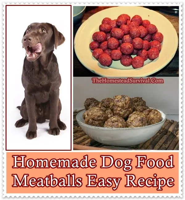 Homemade Dog Food Meatballs Easy Recipe - The Homestead Survival - Homesteading - Pets 