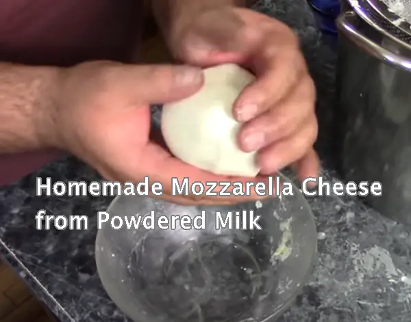Homemade Mozzarella Cheese from Powdered Milk