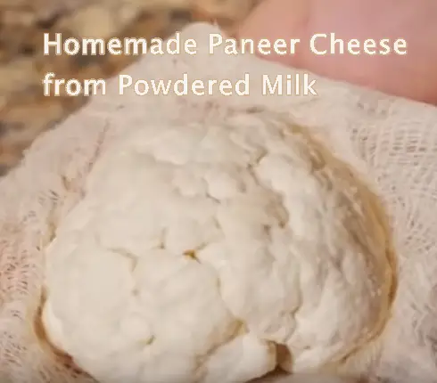 Homemade Paneer Cheese from Powdered Milk