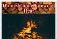 Homesteading Firewood Heat Burning Values Chart - The Homestead Survival - Homesteading - Warming Up in Winter