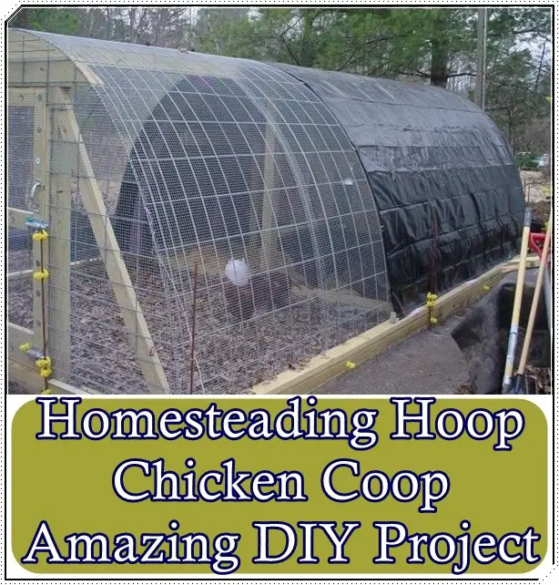 Homesteading Hoop Chicken Coop Amazing DIY Project - The Homestead Survival - Chickens - Homesteading