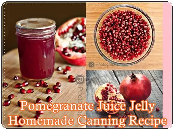 Pomegranate Juice Jelly Homemade Canning Recipe - food storage - Homesteading - The Homestead Survival