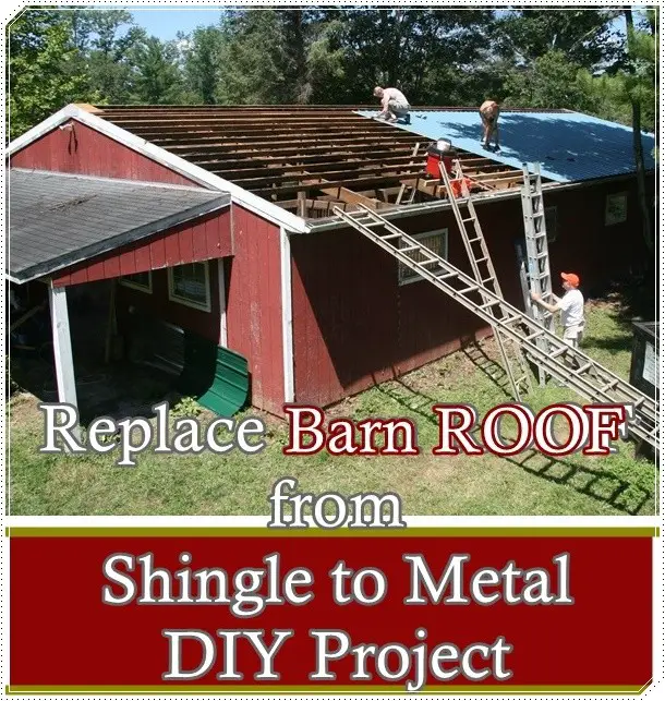 Replace Barn ROOF from Shingle to Metal DIY Project