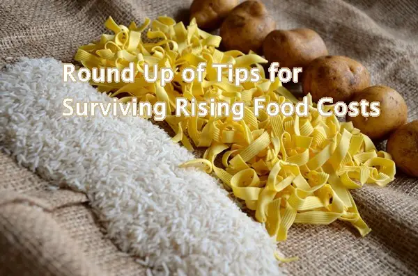 Round Up of Tips for Surviving Rising Food Costs