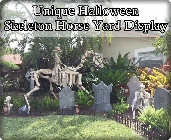 Unique Halloween Skeleton Horse Yard Display - The Homestead Survival - Frugal Homesteading