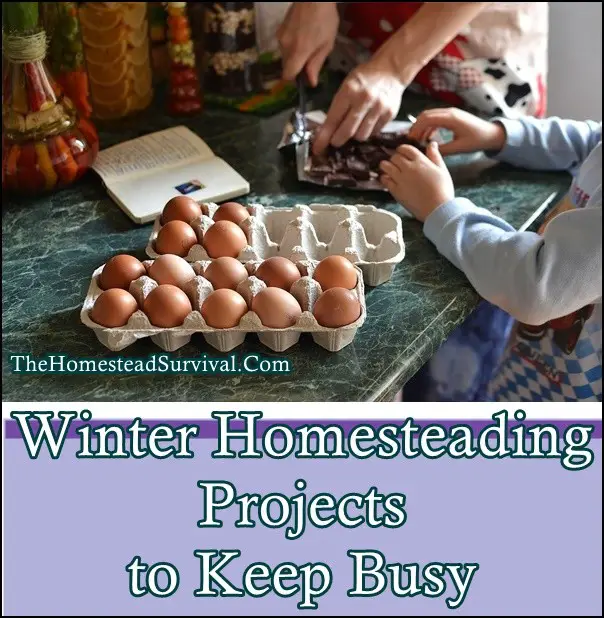 Winter Homesteading Projects and Skills to Keep Busy 