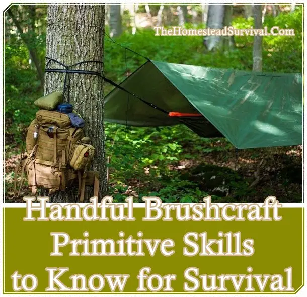 Handful Brushcraft Primitive Skills to Know for Survival - The Homestead Survival - Frugal Homesteading