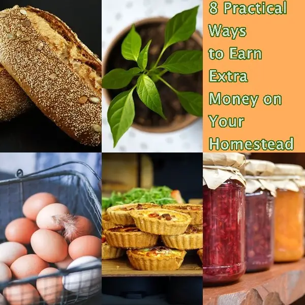 8 Practical Ways to Earn Extra Money on Your Homestead 