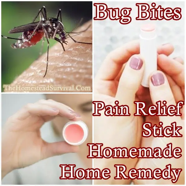 Bug Bites Pain Relief Stick Homemade Home Remedy - The Homestead Survival - Natural Home Remedies - Homesteading