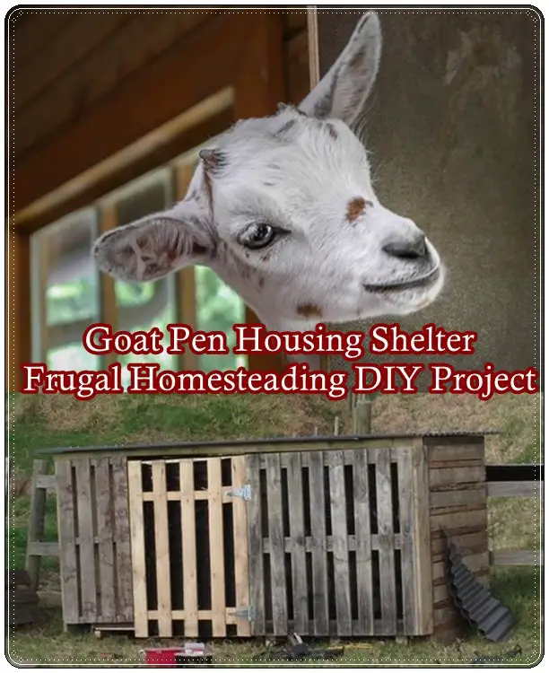 Goat Pen Housing Shelter Frugal Homesteading DIY Project - The Homestead Survival - Frugal Homesteading 