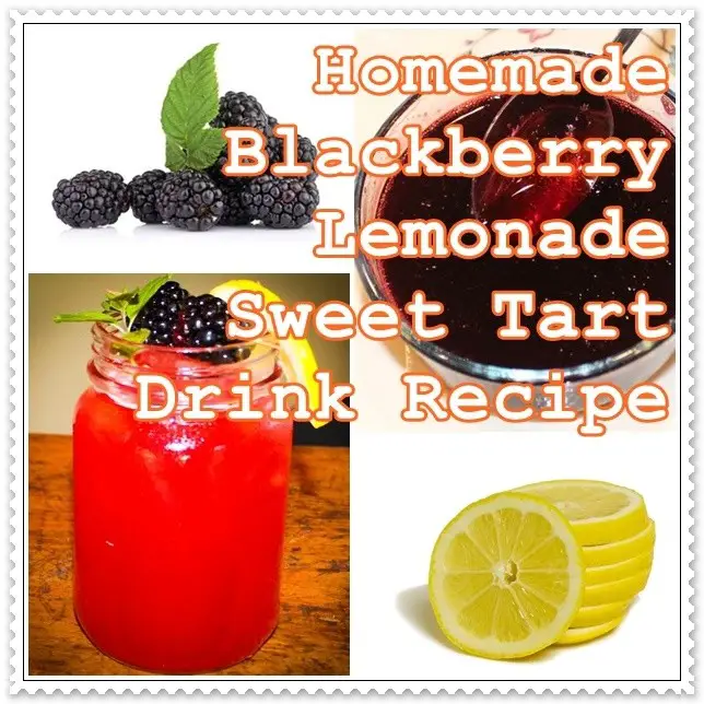 Homemade Blackberry Lemonade Sweet Tart Drink Recipe - The Homestead Survival