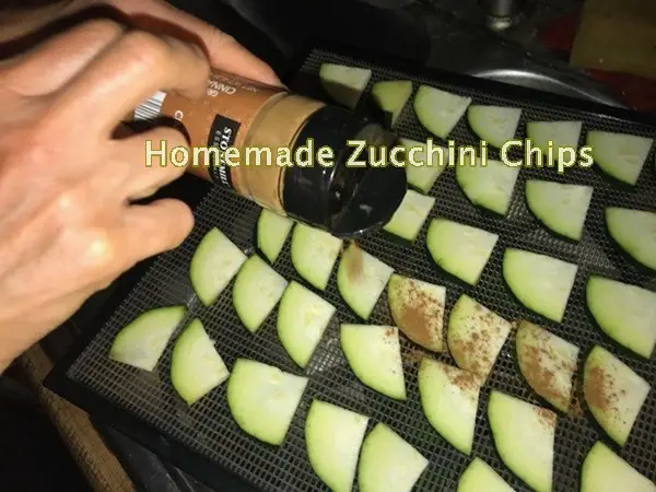 Homemade Zucchini Chips