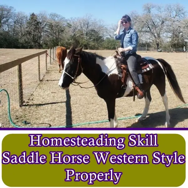 Homesteading Skill Saddle Horse Western Style Properly - The Homestead Survival - Homesteading - Riding Horses