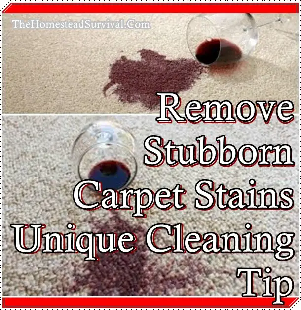 Remove Stubborn Carpet Stains Unique Cleaning Tip - Homesteading Household Cleaning Tip