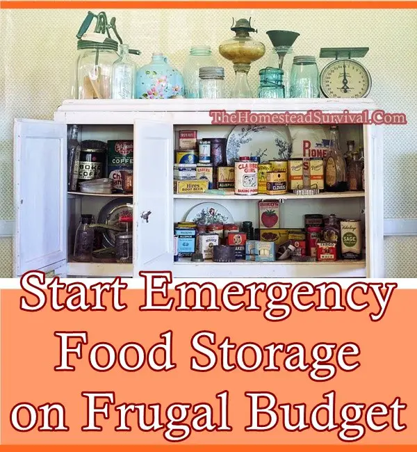 Start Emergency Food Storage on Frugal Budget - The Homestead Survival - Homesteading - Frugal 