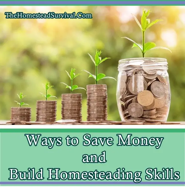 Ways to Save Money and Build Homesteading Skills - The Homestead Survival - Homesteading - Frugal