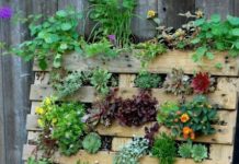 Wood Pallet Living Plant Garden Wall DIY Project - The Homestead Survival - Homesteading - Gardening - Frugal