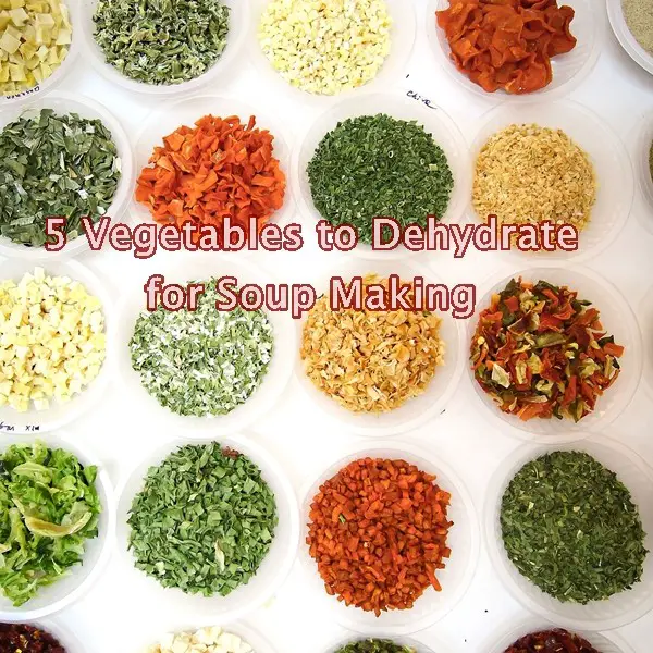 5 Vegetables to Dehydrate for Soup Making