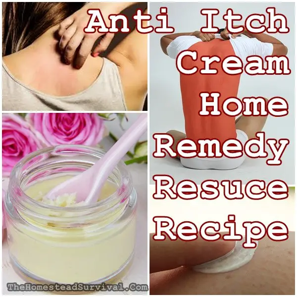  Anti Itch Cream Home Remedy Recuse Recipe