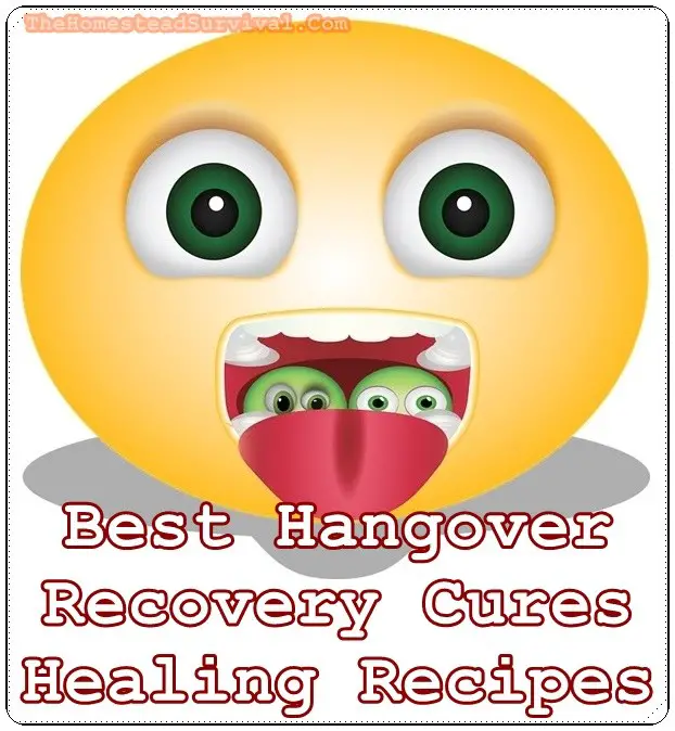 Best Hangover Recovery Cures Healing Recipes - The Homestead Survival - Homesteading