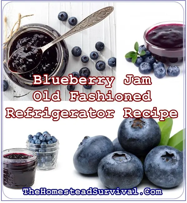 Blueberry Jam Old Fashioned Refrigerator Recipe - The Homestead Survival - Homesteading - canning - Food Storage - Blueberries