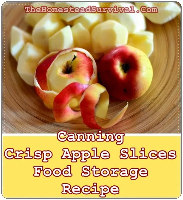 Canning Crisp Apple Slices Food Storage Recipe - Homesteading - Canning - 