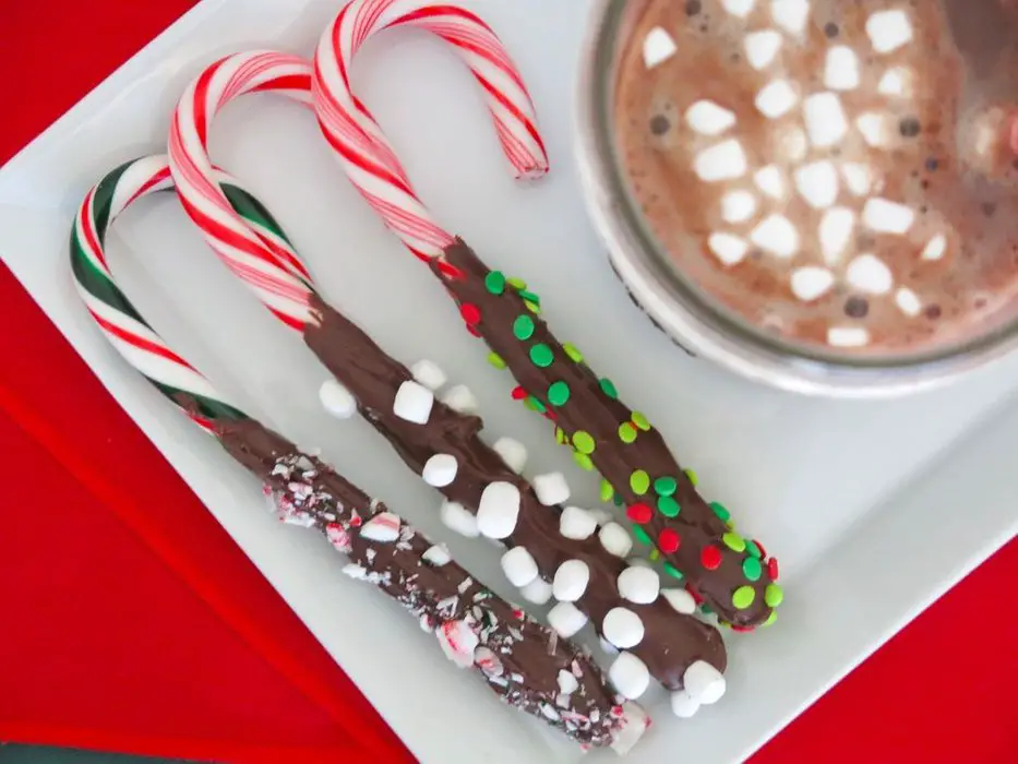 Hot Chocolate Peppermint Candy Cane Stirrers Recipe - The Homestead Survival - Christmas Holiday