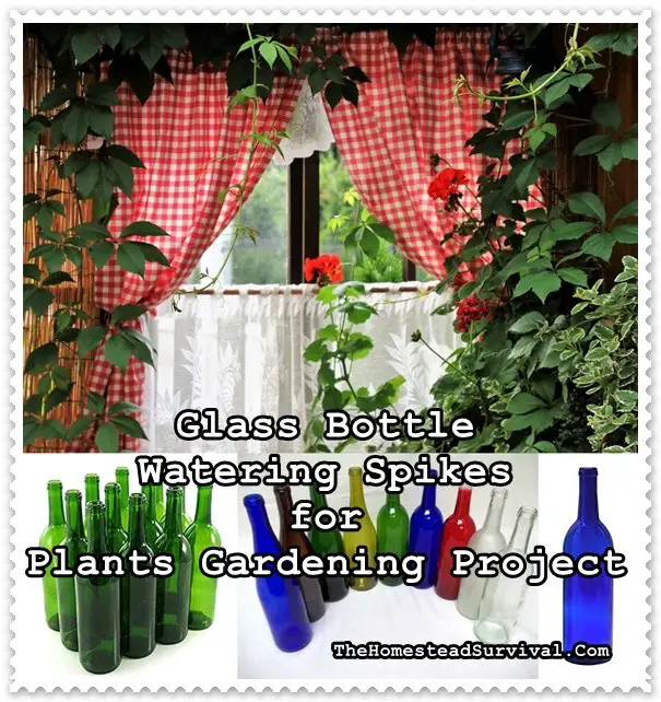 Glass Bottle Watering Spikes for Plants Gardening Project - The Homestead Survival - Gardening - Frugal
