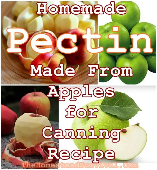 Homemade Pectin Made From Apples for Canning Recipe - The Homestead Survival - Canning - Food storage - jam - jelly