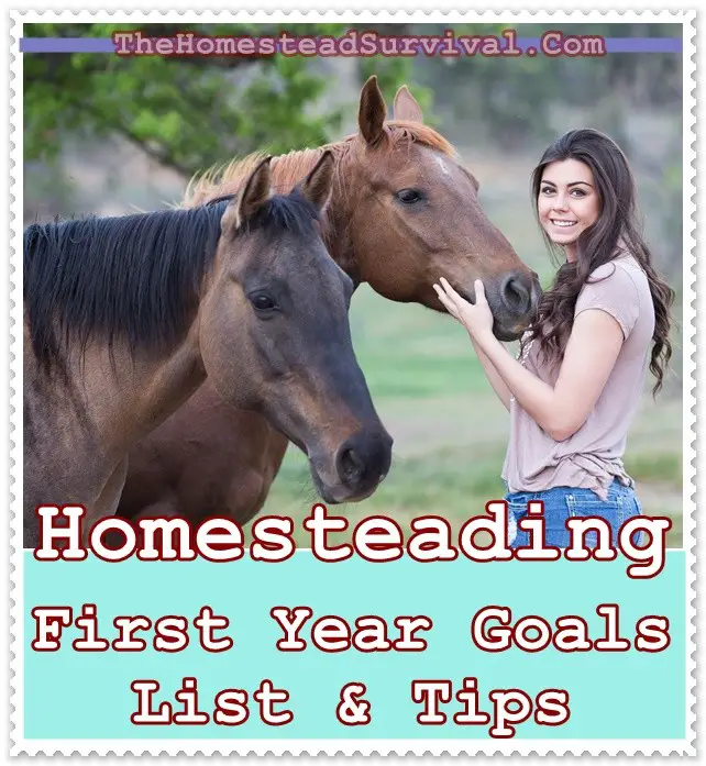Homesteading First Year Goals List & Tips - The Homestead Survival - Homestead Survival