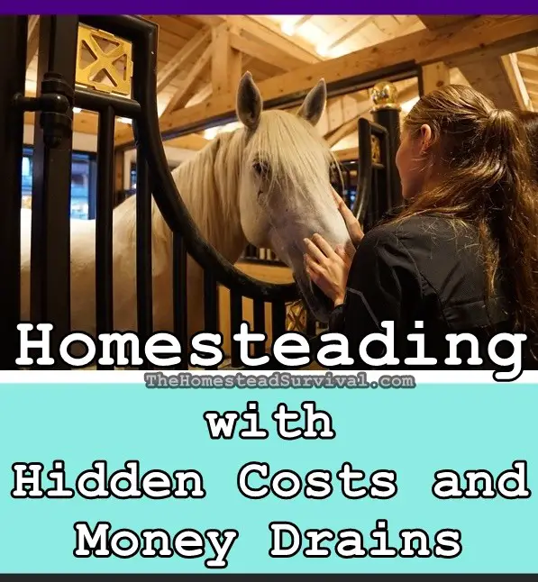 Homesteading with Hidden Costs and Money Drains - The Homestead Survival - Homesteading 