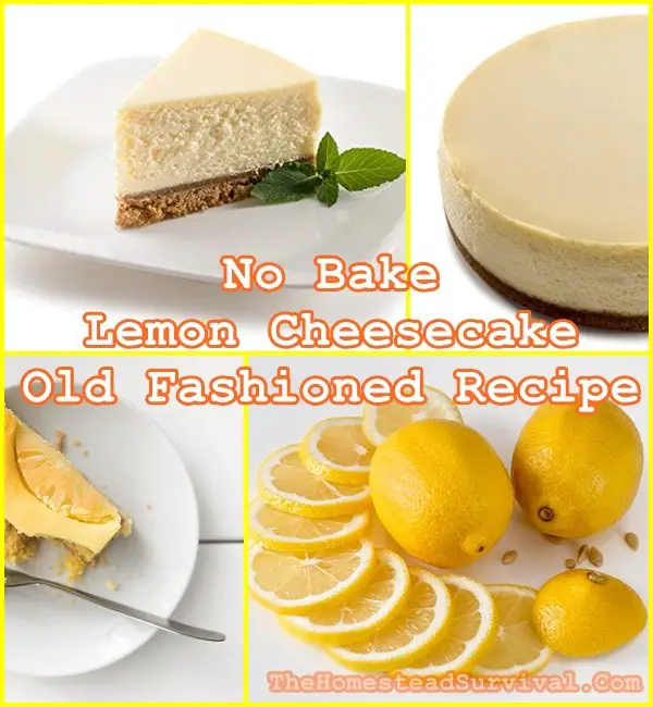 No Bake Lemon Cheesecake Old Fashioned Recipe - The Homestead Survival - Dessert